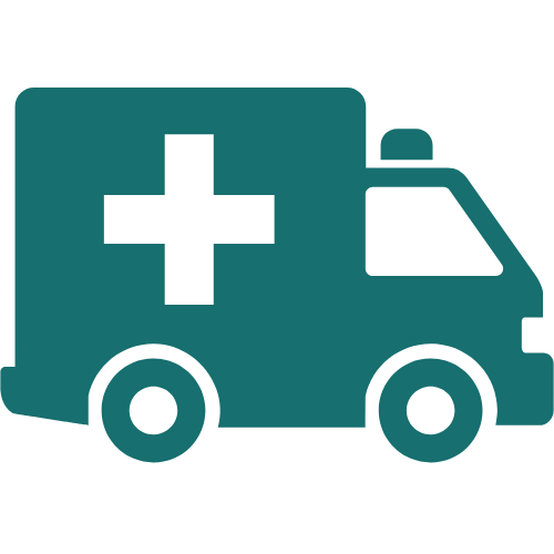 Service 4: Healthcare Innovation